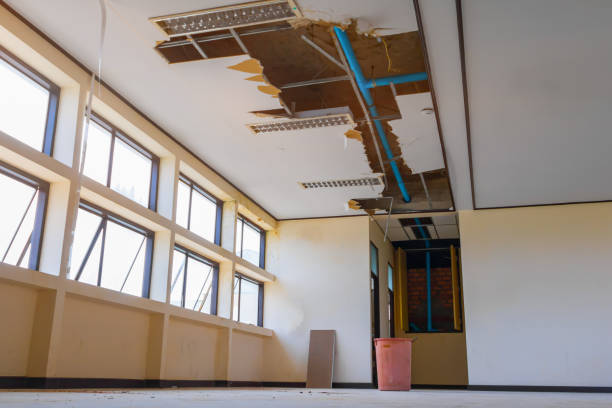 Best Flooded house restoration  in Pauls Valley, OK