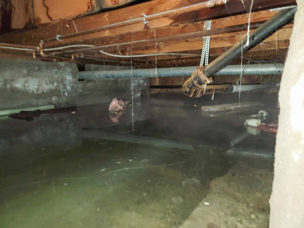 Best Residential water damage restoration  in Pauls Valley, OK