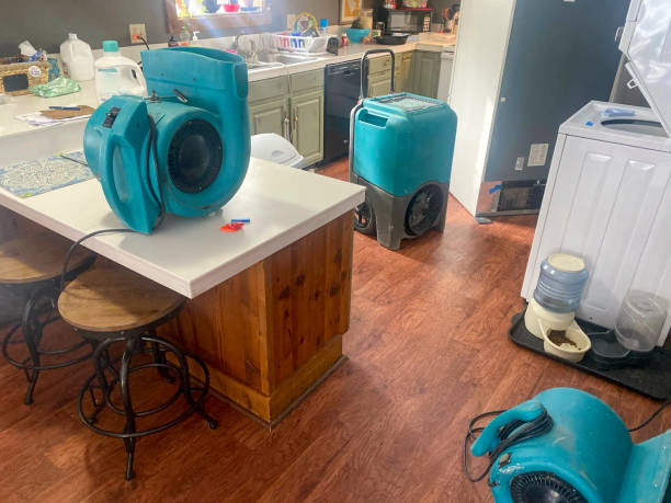 Best Basement water damage restoration  in Pauls Valley, OK