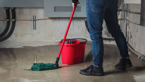 Best Water damage restoration cost  in Pauls Valley, OK