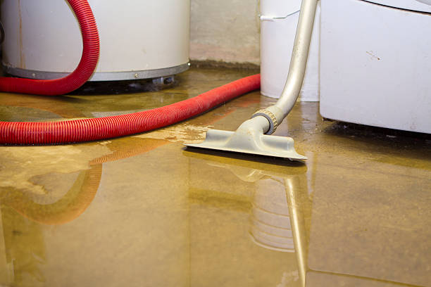 Best Water damage repair service  in Pauls Valley, OK